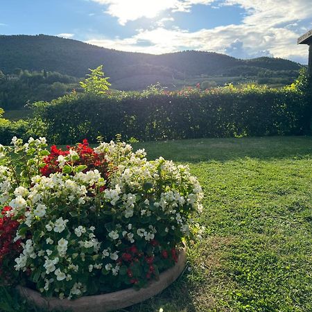 Villa Del Sole San Gimignano Kültér fotó