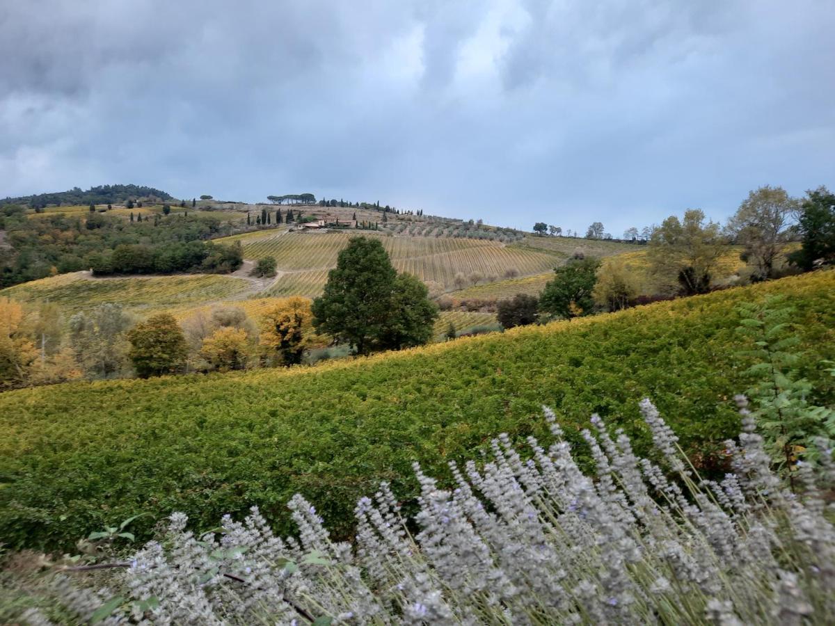 Villa Del Sole San Gimignano Kültér fotó
