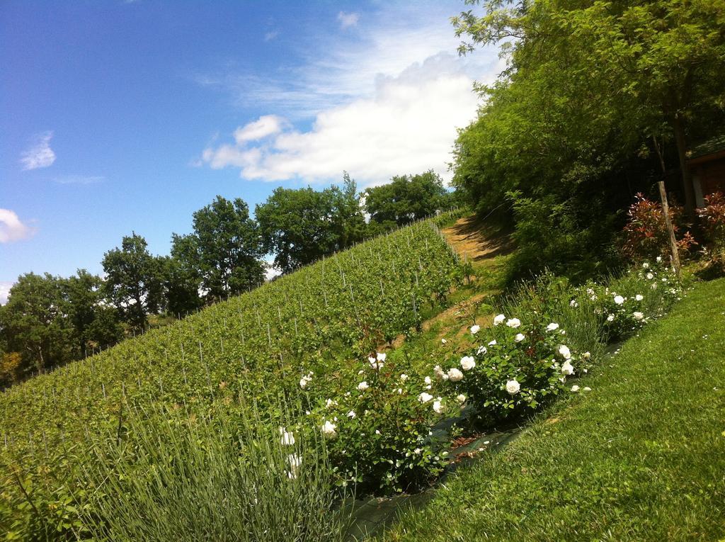 Villa Del Sole San Gimignano Kültér fotó