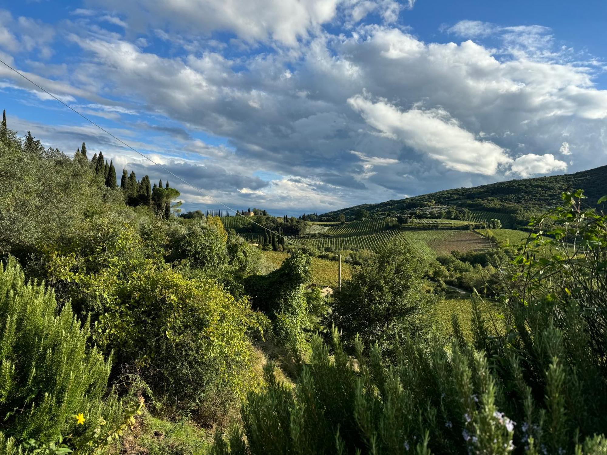 Villa Del Sole San Gimignano Kültér fotó